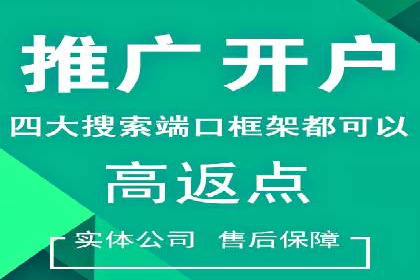 百度竞价托管公司案例分析：打造行业领军企业